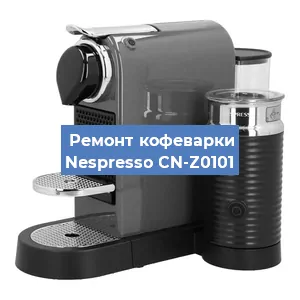 Замена прокладок на кофемашине Nespresso CN-Z0101 в Воронеже
